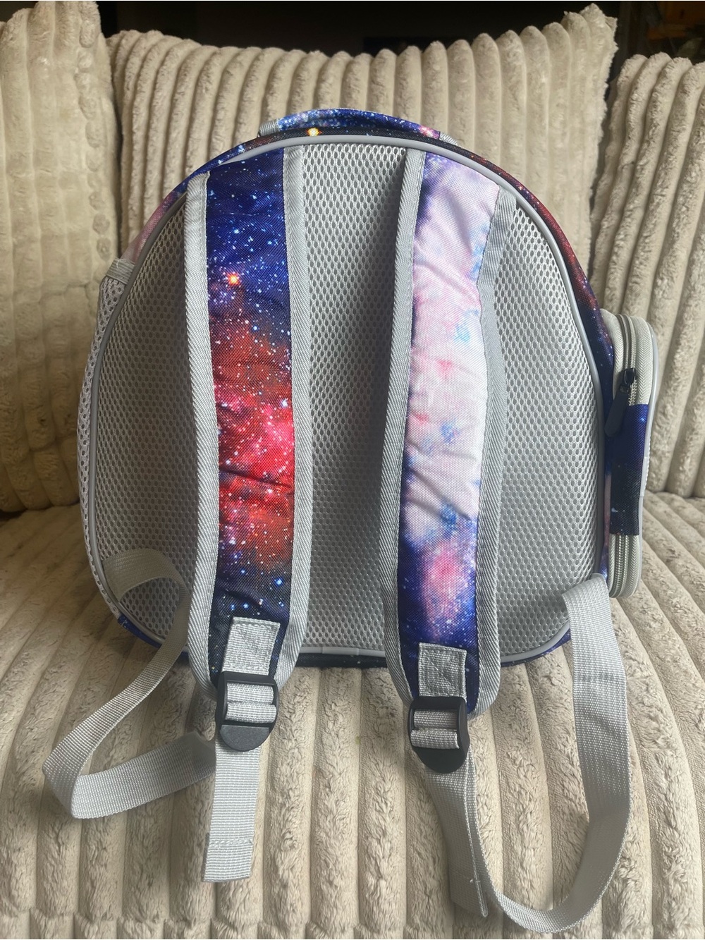 Transparent Gray Small Pet Carrier Backpack with Galaxy-Print Handle - Picture 3 of 7